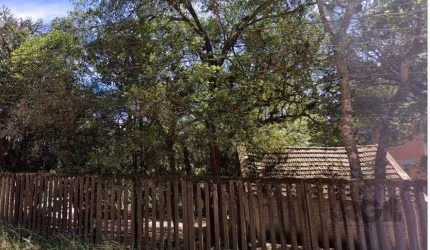 Terreno Residencial em Lomba do Pinheiro