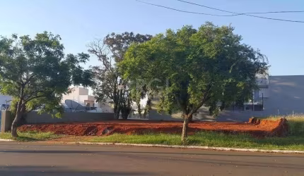 Terreno para Venda - 0m², 0 dormitórios, Nossa Senhora das Graças