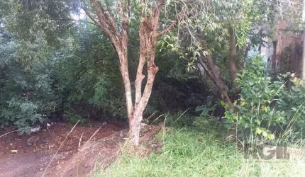 Terreno Residencial em Nossa Senhora das Graças