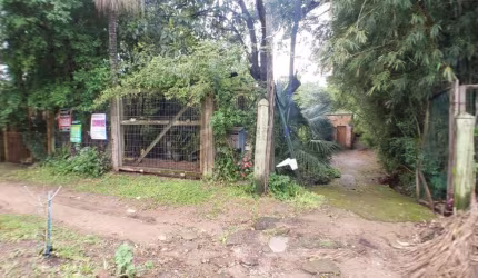 Terreno para Venda 770m² - Bairro Tristeza