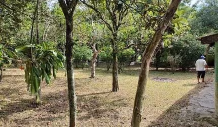 Sítio em Porto Alegre, no bairro São Caetano, à venda.