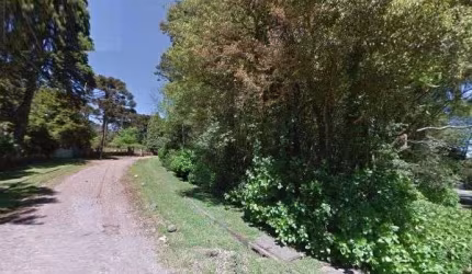 Terreno para Venda - 0m², 0 dormitórios, Vila Suzana