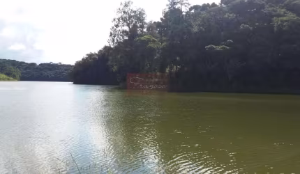 Área para Venda em Tijucas do Sul, São Marcos