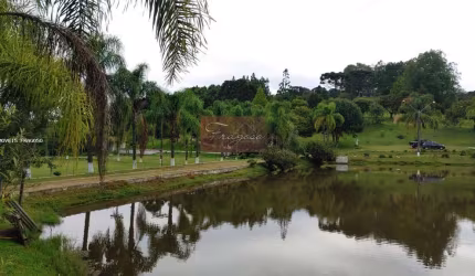 Chácara para Venda em Contenda, São Pedro