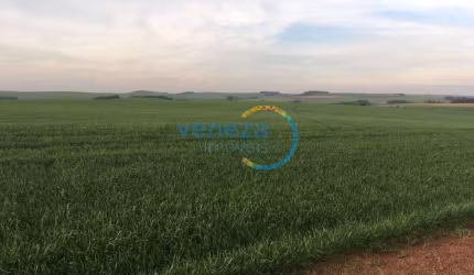 Chácaras_Prop rurais com 1 quarto  à venda, 302500.00 m2 por R$4500000.00  - Nova Amoreira - Marilandia Do Sul/PR