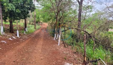 Chácaras_Prop rurais à venda, 50.00 m2 por R$185000.00  - Zona Rural - Jataizinho/PR