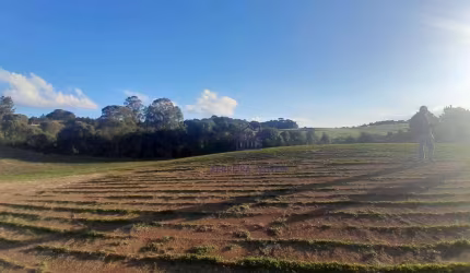 Área à venda, 59660 m² por R$ 150,00 - Veneza - Fazenda Rio Grande/PR