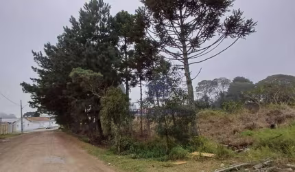 Terreno à venda, 732 m² por R$ 450.000,00 - Guatupê - São José dos Pinhais/PR
