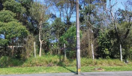 Terreno à venda, 600 m² por R$ 348.000,00 - Cristal - São José dos Pinhais/PR