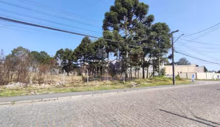 Terreno à venda, 1038 m² por R$ 602.000,00 - Cristal - São José dos Pinhais/PR