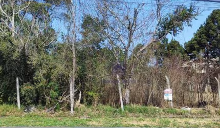 Terreno à venda, 600 m² por R$ 348.000,00 - Guatupê - São José dos Pinhais/PR