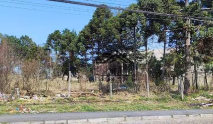 Terreno à venda, 1038 m² por R$ 602.000,00 - Cristal - São José dos Pinhais/PR