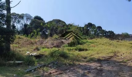 Terreno à venda, 734 m² por R$ 450.000 - Guatupê - São José dos Pinhais/PR