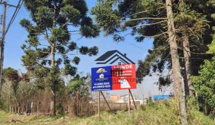 Área à venda, 2972 m² por R$ 1.748.000,00 - Cristal - São José dos Pinhais/PR