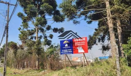 Terreno à venda, 2972 m² por R$ 1.748.000 - Cristal - São José dos Pinhais/PR