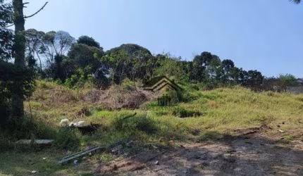Terreno à venda, 734 m² por R$ 450.000 - Cristal - São José dos Pinhais/PR