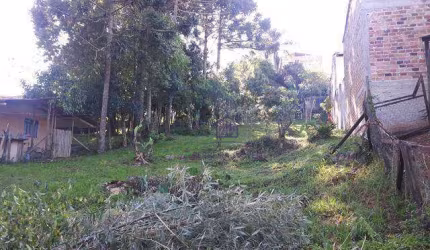S. J. P - São Domingos - TERR. C/ 456m