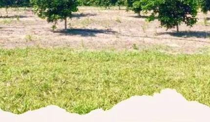 Lindo Sítio com 500.000m² à Venda em Araruama