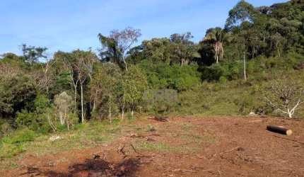 Terreno à venda com 50 hectares por R$ 580.000 - Bracinho - Apiúna/SC