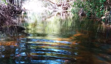 Chácara para Venda em Cocalzinho de Goiás, Edilândia, 5 dormitórios, 2 suítes, 3 banheiros, 6 vagas