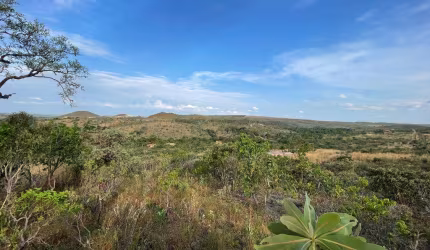 Chácara para Venda em Cocalzinho de Goiás, Edilândia
