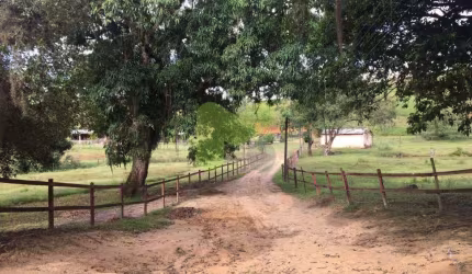 Haras a venda em Casimiro de Abreu