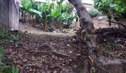 Terreno à venda no Jardim Martinelli (Sousas), Campinas  por R$ 320.000
