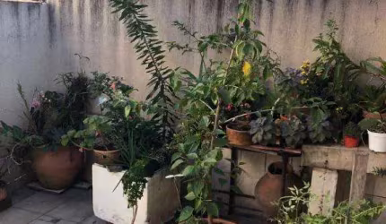 Casa com 2 quartos à venda na Vila Bourbon (Sousas), Campinas , 158 m2 por R$ 740.000