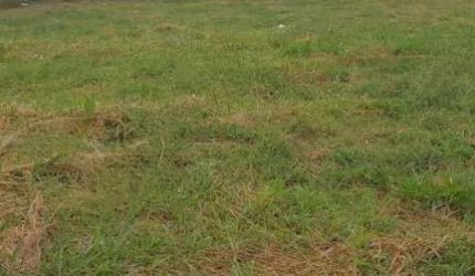 Terreno à venda, 300 m² por R$ 166.000,00 - Parque Laranjeiras - Araraquara/SP