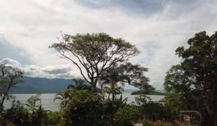 Sítio 170.250,00 m² no Ribeirão da Ilha.