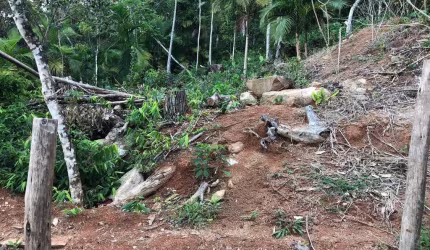 Terreno em condominio de casas 267m² TRINDADE