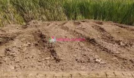 Terreno Meio Lote no Golfinhos