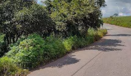 Lote para Venda em São Joaquim de Bicas, Nazare