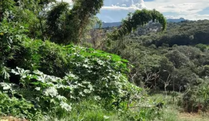 Chácara para Venda em São Joaquim de Bicas, SANTO ANTONIO, 1 dormitório, 1 banheiro