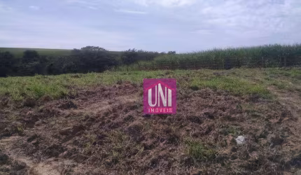 Terreno à venda, 5.000 m² por R$ 0 - Palmital - Porto Feliz/SP