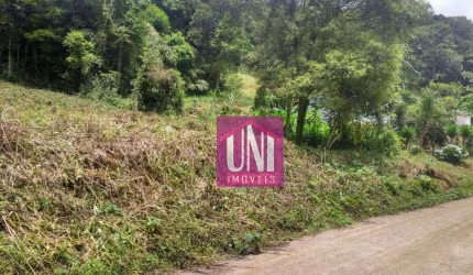 Terreno à venda, 7911 m² por R$ 290.000,00 - Chácara Santa Rita (Ouro Fino Paulista) - Ribeirão Pires/SP