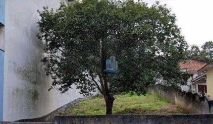 Terreno à venda, 640 m² por R$ 1.240.000,00 - Santa Maria - São Caetano do Sul/SP