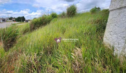 Terreno à venda, 189 m² por R$ 135.749,00 - Cruz das Almas - Araçariguama/SP