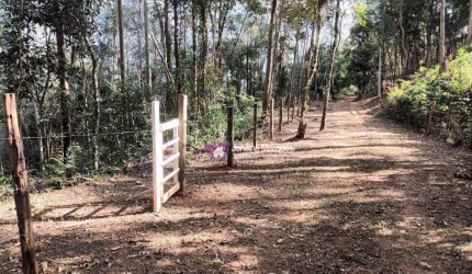 Terreno à venda, 5890 m² por R$ 200.000 - Bairro da Lagoa - Araçariguama/SP