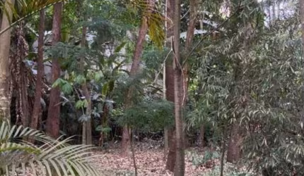 Apartamento Residencial à venda, Fazenda Morumbi, São Paulo - AP2217.
