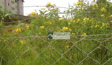 Terreno  comercial à venda, Capela, Vinhedo.
