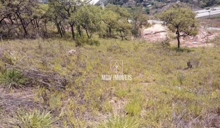 Lote financiado bairro São Damião as margens da MG10!