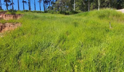 Terreno para Venda em Araçariguama, Meireles