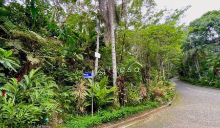 Terreno à venda, 1210 m² por R$ 1.550.000 - Toninhas - Condomínio Ponta das Toninhas - Ubatuba/SP