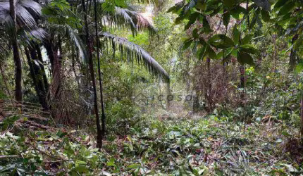 Terreno à venda, 300 m² por R$ 130.000,00 - Estufa II - Ubatuba/SP