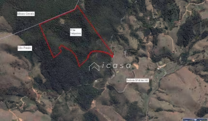 Terreno à venda, 169400 m² por R$ 954.000,00 - Santo Antônio Do Pinhal - Santo Antônio do Pinhal/SP