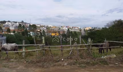 Terreno à venda, 4000 m² por R$ 1.060.000,00 - Bairro Do Grama - Caçapava/SP