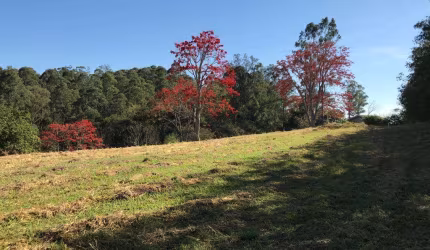 Terreno à venda em Campinas, Jardim Martinelli (Sousas), com 21560 m²