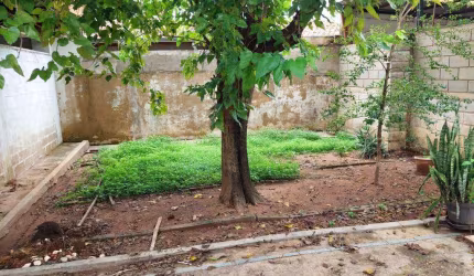Terreno à venda em Campinas, Jardim Anchieta, com 300 m²