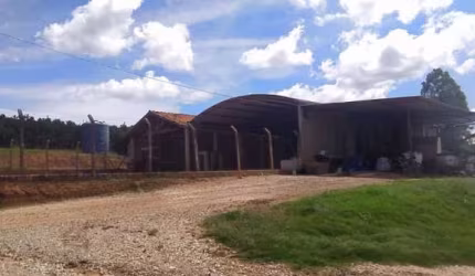 Fazenda com 1 dormitório à venda, 2710400 m² por R$ 32.000.000 - Matão - Buri/São Paulo
